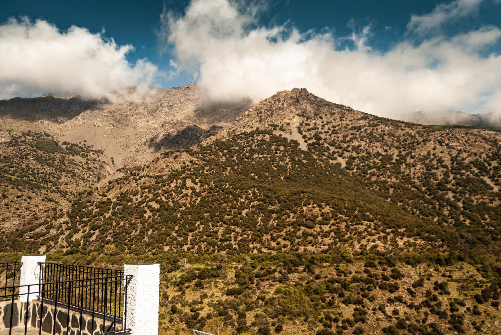 Hotel La Fragua Ii Trevélez